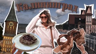 картинка: VLOG|Калининград|Самые вкусные места|Обзор квартиры|Куда сходить|Светлогорск|Зеленоградск|Мой отпуск