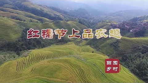 田园乡村—红糯节上品农趣：壹起走进广西壮族自治区龙胜各族自治县的地灵村，去看壹看那里举办“红糯节”的盛况 - 天天要闻
