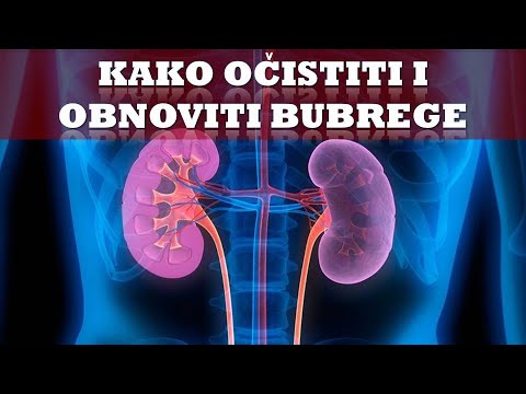 Video: Kako se zove jedinica za filtriranje bubrega?