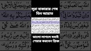 সুরা বাকারার শেষ তিন আয়াত ভালো লাগলে সবাই লাইক করবেন।