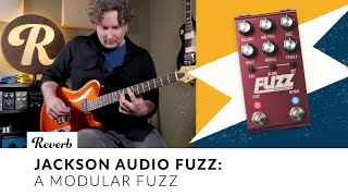 FUZZ - Modular Fuzz – Jackson Audio