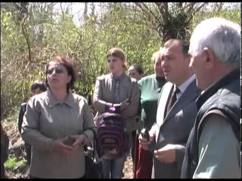 კვალითის მოსახლეობა ხიდის აღდგენას ითხოვს