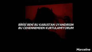 Three Days Grace - Animal I Have Become (Türkçe Çeviri)