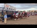 Carreras de caballos de Sanlucar 2019