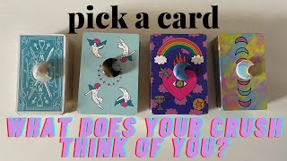 HOW DOES YOUR CRUSH SEE YOU? [ tarot pick a card ]