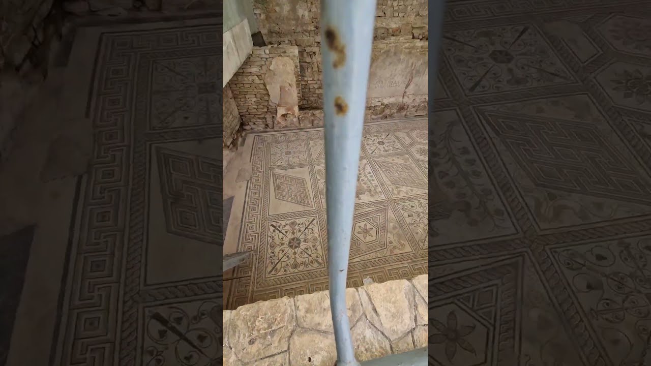 The Best Hidden Ancient Roman Mosaic In Croatia Shorts