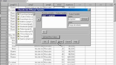 Recodificación de variables.avi