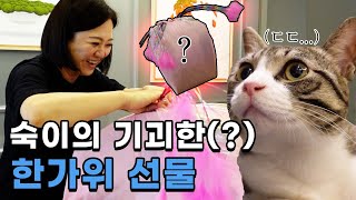 (ENG)🐱고양이 주인님들을 위한 큰손 숙이의 추석맞이 FLEX🎁