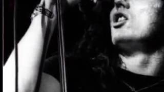 David Coverdale - Behind The Smile / Butterfly Ball chords