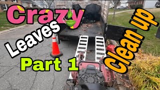Insane Leaf Pile Removal! Ultimate Fall Yard Clean Up part 1