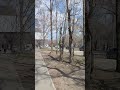 Хабаровск, улица Джамбула 28.04.2026