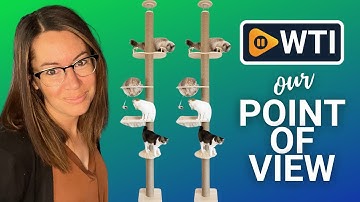 TQEW Scratching Cat Tree | Our Point Of View