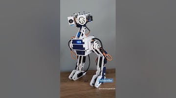 Biped  Robot #shorts #short #technology #biped #ytshorts