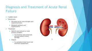 Chapter 18 Urinary Disorders and PT Guidelines