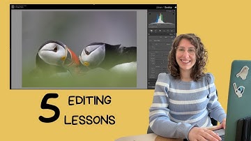 What I wish I knew about Editing Wildlife Photos when I started