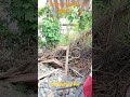 buaayan project..