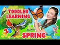 Toddler Learning: Let’s Go on a Walk Song, Birds & Toddler Activities | Educational Videos for Kids