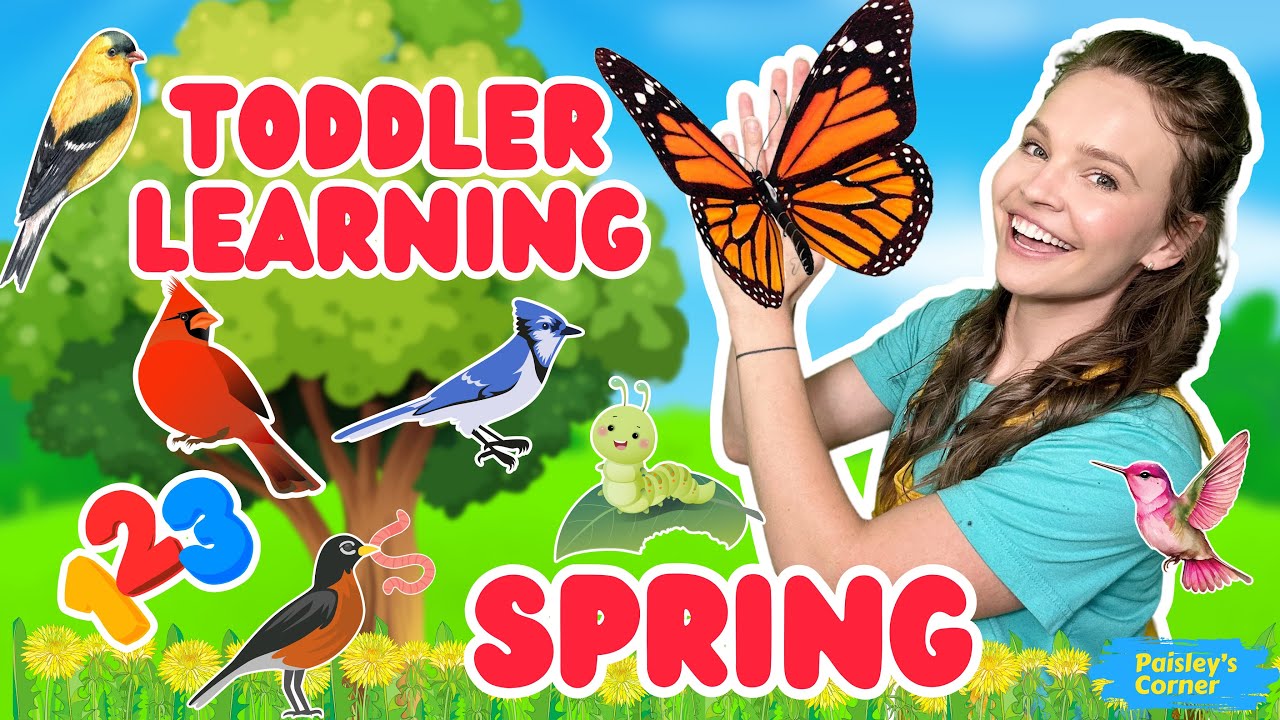 Toddler Learning: Let’s Go on a Walk Song, Birds & Toddler Activities | Educational Videos for Kids