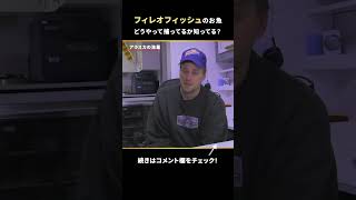 フィレオフィッシュの魚って何？ #Shorts
