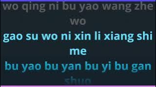 Song Ni Yi Duo Wu Wang Wo 送你一多无忘我 by Huang Jia Jia female karaoke