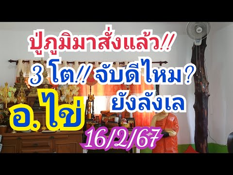 ปู่มาสั่งแล้ว!! 3 โต อ.ไข่ ลังเล จับดีไหม?  16 ก.พ.67