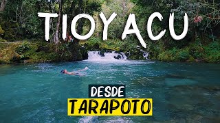 Tioyacu - COMO LLEGAR desde Tarapoto sin tours 🏞️🏊♂️🏝️ (Nueva Cajamarca, Rioja) Turismo Peru