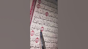 تلاوة هادئة وجميلة من سورة المؤمنون للقارئ الشيخ ماهر المعيقلي #القرآن_الكريم 🌻🦋🌻🦋🌻🦋