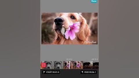 How to add Voice Over to your videos with PicPlayPost Video Editor