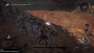 Nioh - Tachibana Muneshige - Level 1 Flawless - No Roll/Block/Dodge