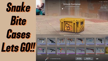 CS2  SnakeBite Case Opening!!