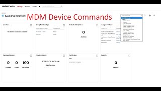 Verizon MDM Device Commands screenshot 5