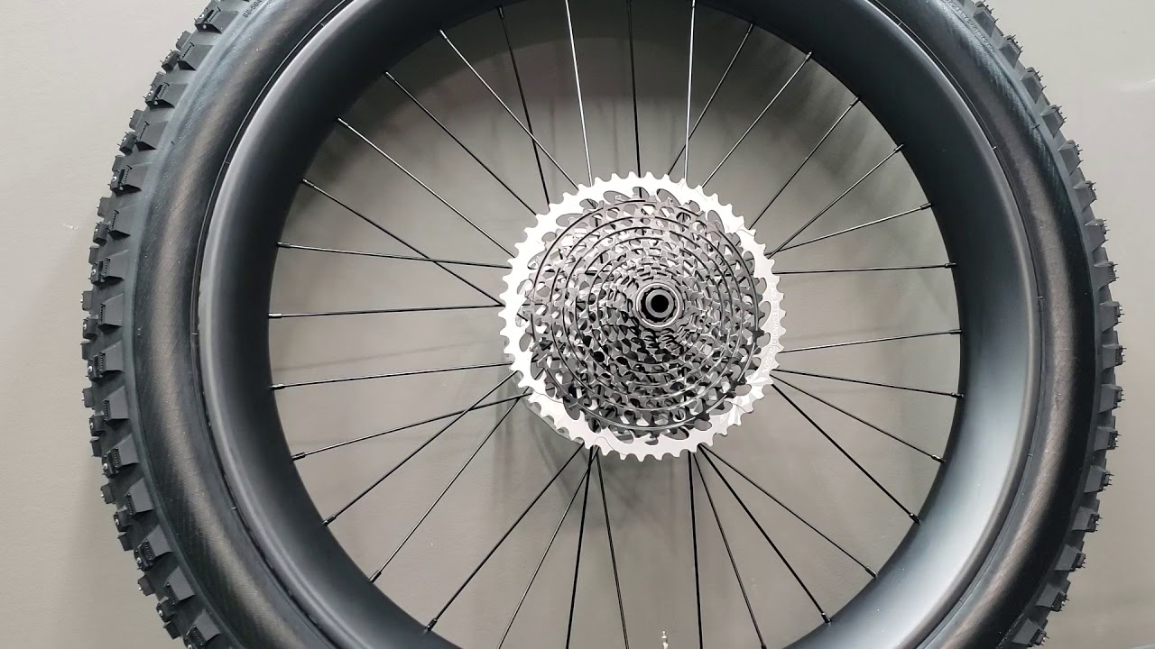 54 tooth DT350 Fatbike Big Ride Hub 