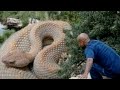 Las 5 Serpientes más GRANDES del mundo