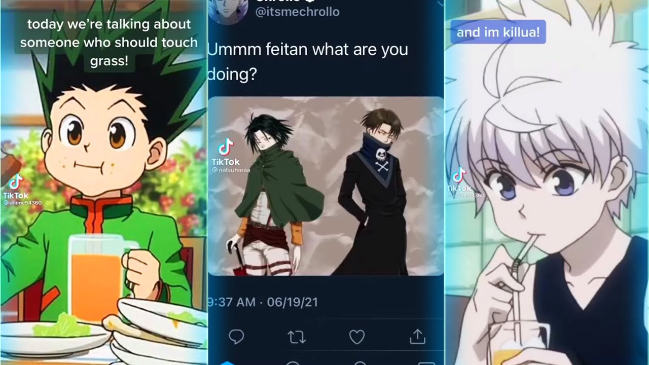 where to start the manga after the anime hunter x hunter｜TikTok