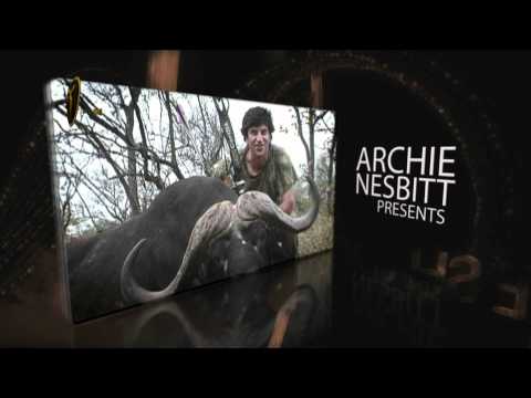 Africa's Black Death: Cape Buffalo