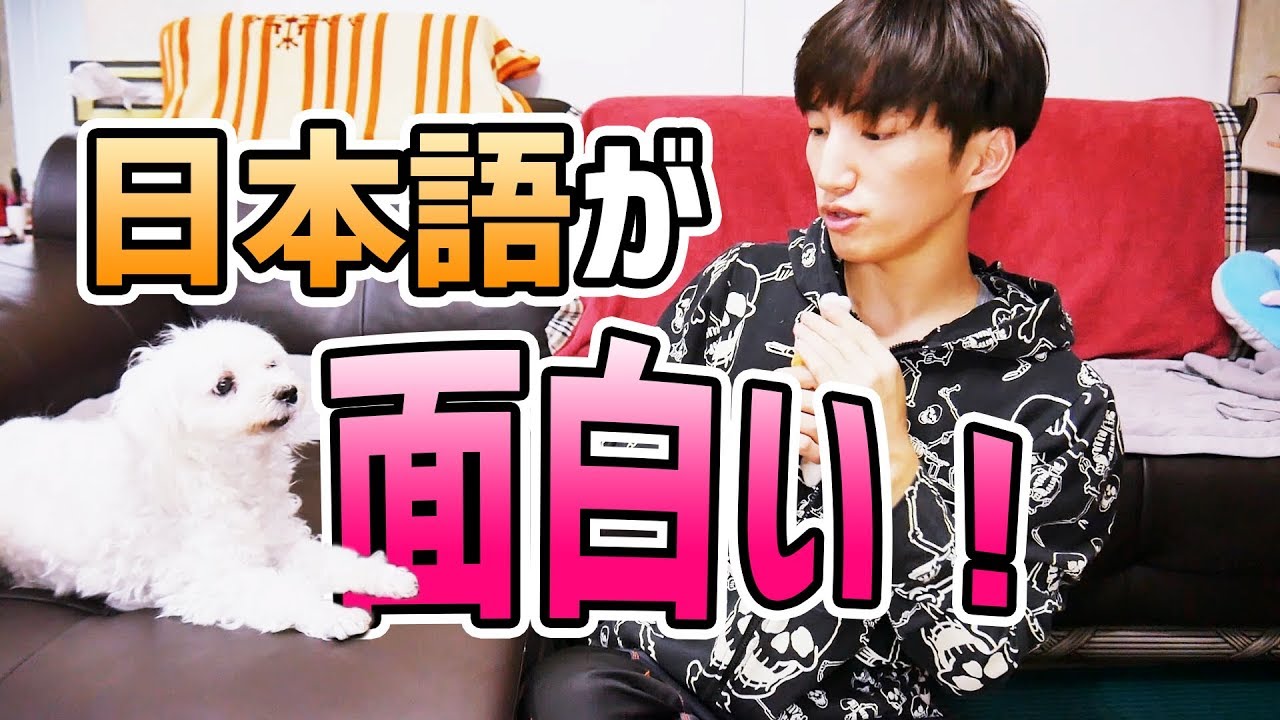 韓国人に日本語が面白い理由二つ