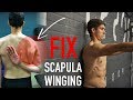 Fix Scapula Winging (FULL ROUTINE)