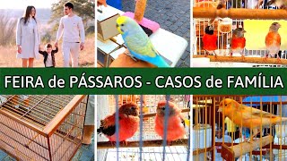 Feira de Pássaros  Casos de Família  Parte2 #aves #feiradocordeiro