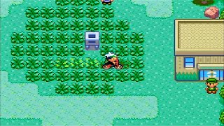 ポケットモンスター エメラルド Part 23 サファリゾーン 通常プレイ Pokemon Emerald Youtube