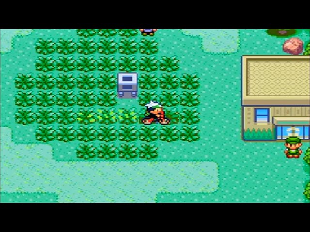 ポケットモンスター エメラルド Part 23 サファリゾーン 通常プレイ Pokemon Emerald Youtube