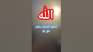 سورة النساء آية ١١٩ | يُضِلَّهُمُ الشَّيْطَانُ وَيُغَيِّرُ خَلْقَ اللَّهِ | تلاوة خاشعة بصوت رائع