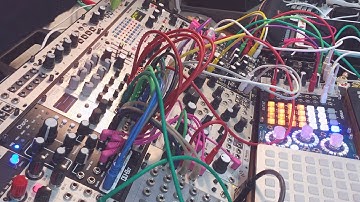 Qu-Bit Chord v2 - 4-Voice Polyphonic Exploration - Eurorack Modular Synthesizer