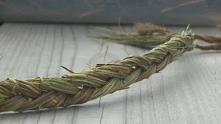 Science Discovers Sweetgrass is Natural Mosquito Repellant