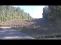Channing Cope Rd