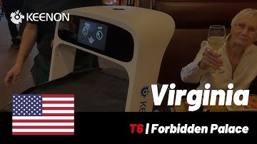 KEENON Cases | KEENON DINERBOT T6 in Forbidden Palace, Virginia, US