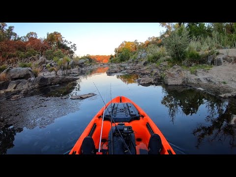 Video: How To Dry River Bass