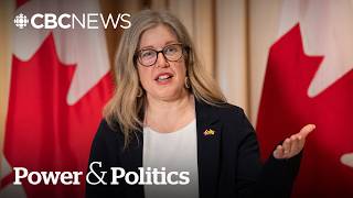 What is New Brunswick doing to combat tariff fallout | Power & Politics