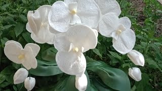 орхидея из изолона очень просто и легко - молд для орхидеи