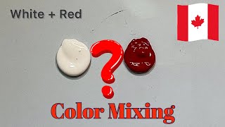 Guess the final color 🎨| satisfying video | Art video | Color Mixing video |Paint Mixing Video