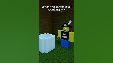500 More Shedletsky